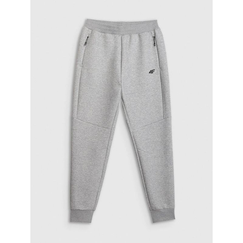 Men's jogger sweatpants 4F 4FRMM00TTROM1623-27M 4f