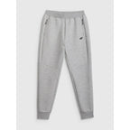 Men's jogger sweatpants 4F 4FRMM00TTROM1623-27M 4f