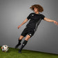 Football adidas Fussballiebe Finale Pro IS7436 Accessories/Balls/Football Adidas