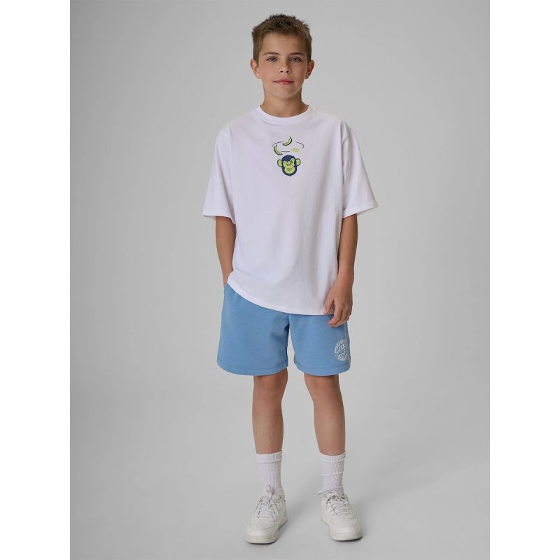 Boy's loose T-shirt with print 4F 4FJRSS26TTSHM4276-10S