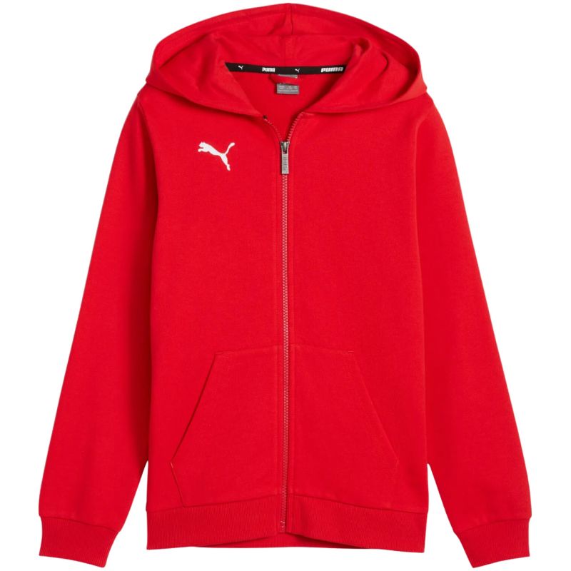 Puma teamGoal Casuals Hooded kids' sweatshirt red 658596 01 In preparation Your Sports Performance