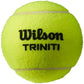 Wilson Triniti 3 Pack Tennis Ball WRT125200 Accessories/Balls/Tennis Your Sports Performance