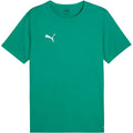 Puma teamRISE Matchday Jersey M 706132 05 Clothing/Football Puma