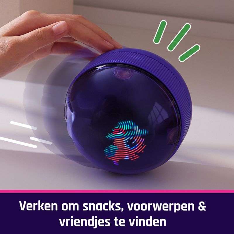 Bitzee Interactive Hamsterball (Gry i zabawki) Edukacja i rozwój/Interaktywne Your Sports Performance
