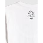 Men's regular printed T-shirt 4F 4FRSS26TTSHM4303-10S 4f