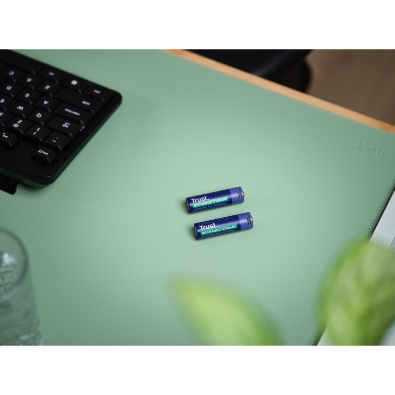 AA Trust USB-C RECHARGEABLE BATTERIES 2P Baterie, akumulatorki i ładowarki/Baterie Your Sports Performance