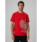 Men's cotton fan T-shirt 4F 4FRSS26TTSHM4200-62S