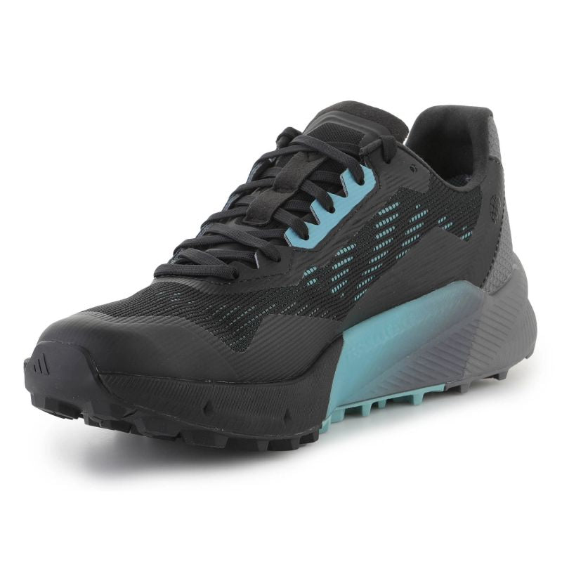 Shoes adidas Terrex Agravic Flow 2 GTX M H03382 Footwear/Running/Men Adidas
