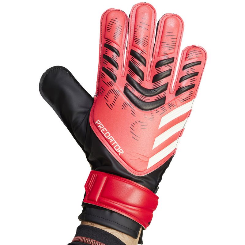 Adidas Predator GL TRN M gloves JH3805 Accessories/Gloves Adidas