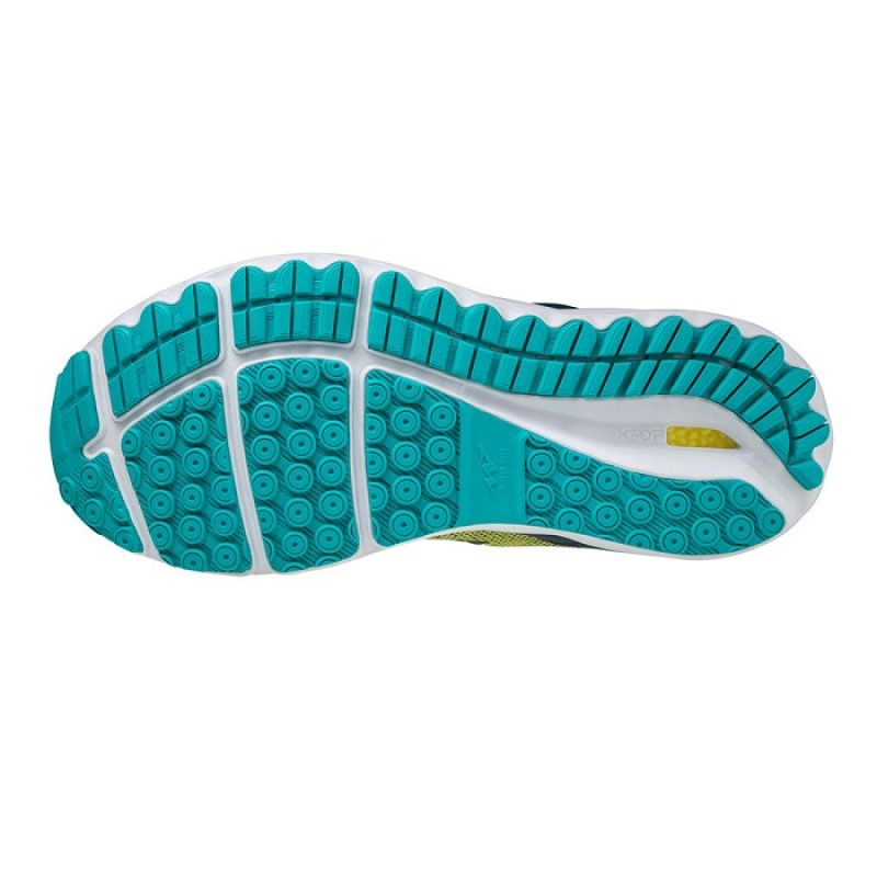 Mizuno Wave Skyrise 2 M J1GC210984 shoes Footwear/Running/Men Mizuno