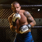 10oz Boxing Gloves - Harmony - Valor Series rękawice treningowe Your Sports Performance