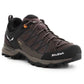 Salewa Mtn Trainer Lite GTX M 61361-7512 trekking shoes Footwear/Outdoor/Salewa Your Sports Performance
