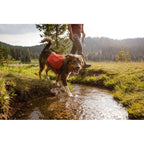 Ruffwear Front Range Day Pack Dog Backpack - Blue Moon Size: XS In preparation Your Sports Performance