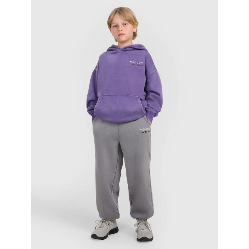 Boys' jogger sweatpants 4F 4FJRAW25TTROM1528-24S 4f