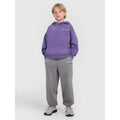 Boys' jogger sweatpants 4F 4FJRAW25TTROM1528-24S 4f