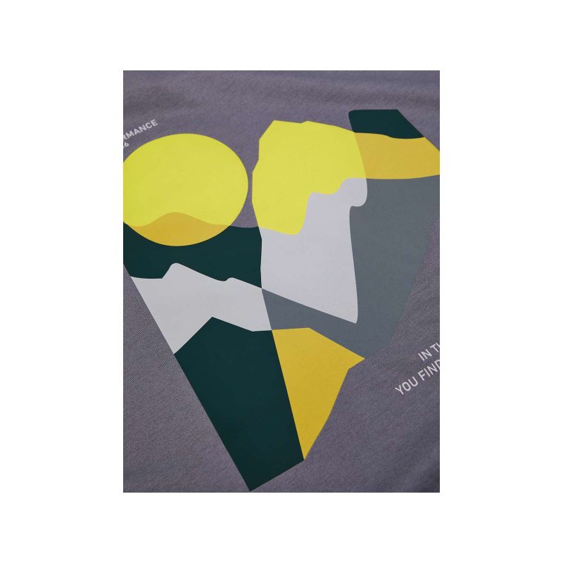 PEAK PERFORMANCE M Explore Graphic Tee Gray