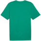 Puma Team Rise Logo Jersey Cotton M 658705 05 Clothing/Football Puma