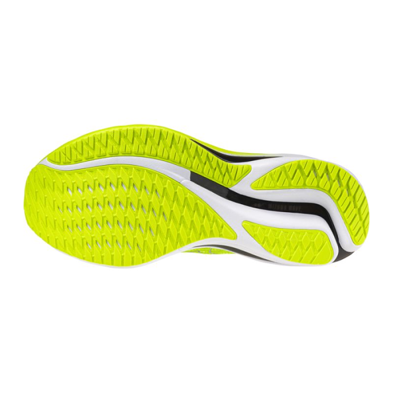 Mizuno Wave Rider 28 M J1GC240309 shoes Footwear/Volleyball/Men Mizuno