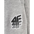 Men's jogger sweatpants 4F 4FRAW26TTROM2176-27M