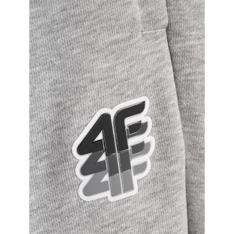 Men's jogger sweatpants 4F 4FRAW26TTROM2176-27M