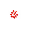 Red tip for sram 5 and 7 In preparation Your Sports Performance