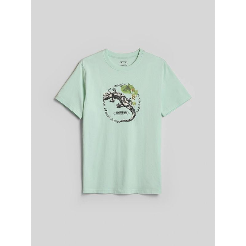 Men's regular printed T-shirt 4F 4FKAW26TTSHM4474-47S
