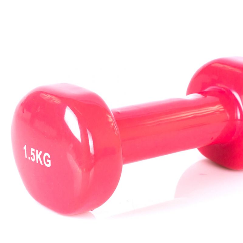 Vinyl dumbbell PROfit 0.5kg DK 4102