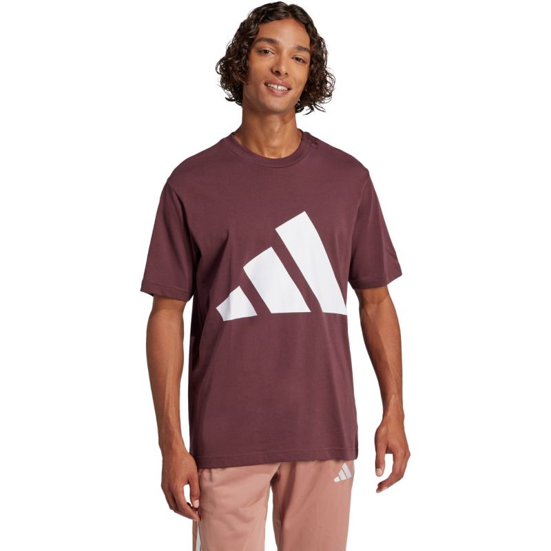 adidas Essentials Big Logo T-shirt M JE8939 Clothing/Lifestyle/T-shirts Adidas