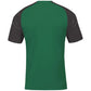 Joma Academy IV Sleeve football shirt 101968.451 Clothing/Football/Joma Joma