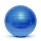 Gymnastic ball BL003 55 cm HS-TNK-000011192 Accessories/Training equipment Your Sports Performance