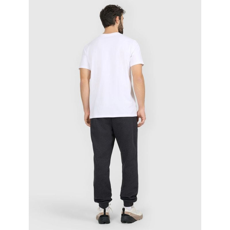 Men's jogger sweatpants 4F 4FRAW25TTROM1696-22S 4f
