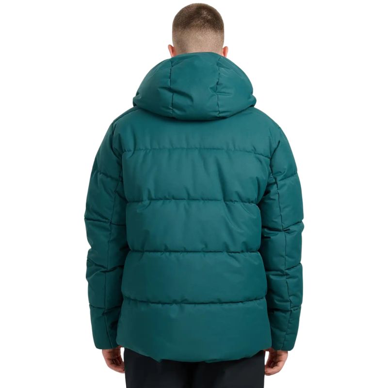 Men's ski jacket 4F M0788 dark green 4FWAW25TTJAM0788 40S 4f
