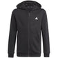 Adidas Essentials Full-Zip Hoodie Jr GN4020 Clothing/Training Adidas