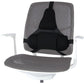 Fellowes Ergonomics Professional Back Support Cushion In preparation Your Sports Performance