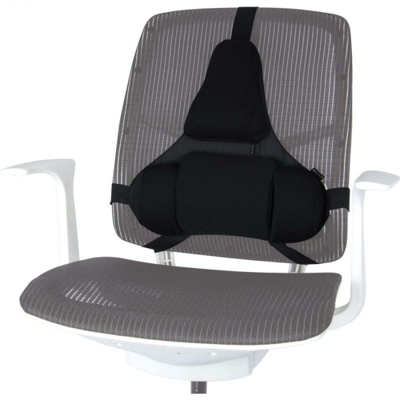 Fellowes Ergonomics Professional Back Support Cushion In preparation Your Sports Performance