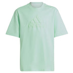 T-shirt adidas FI Logo Tee Jr IC9532 Clothing/Training Adidas