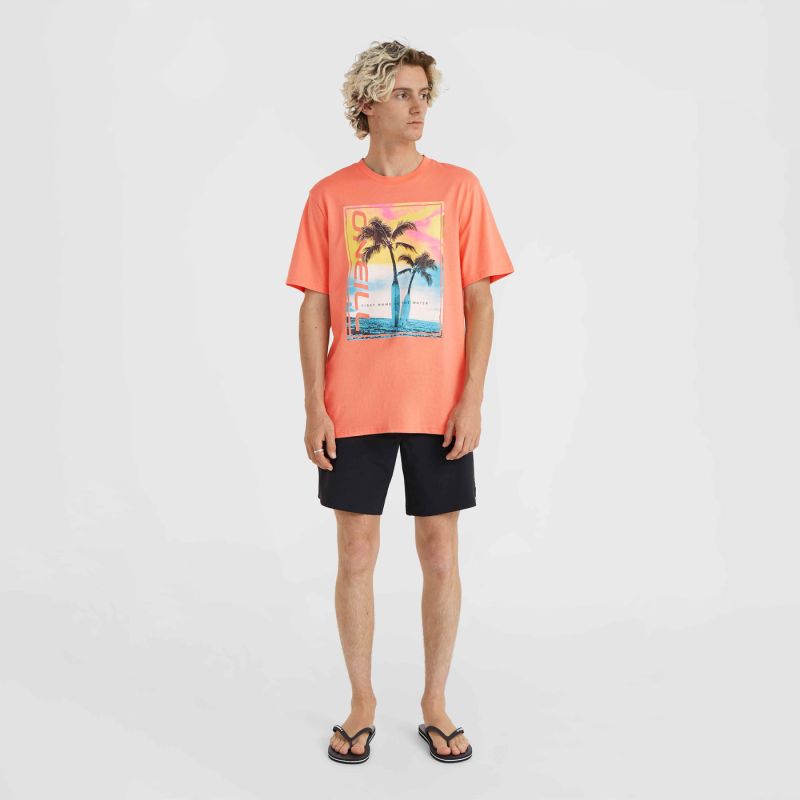 O'Neill Jack Neon T-Shirt M 92800613602 ONeill
