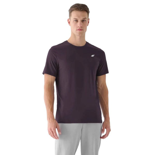 Men's cotton T-shirt 4F 4FWSS25TTSHM3096-50S *Kategoria tymczasowa Your Sports Performance