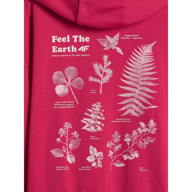 Women's loose sweatshirt with hood 4F 4FRSS26TSWSF2836-53S 4f