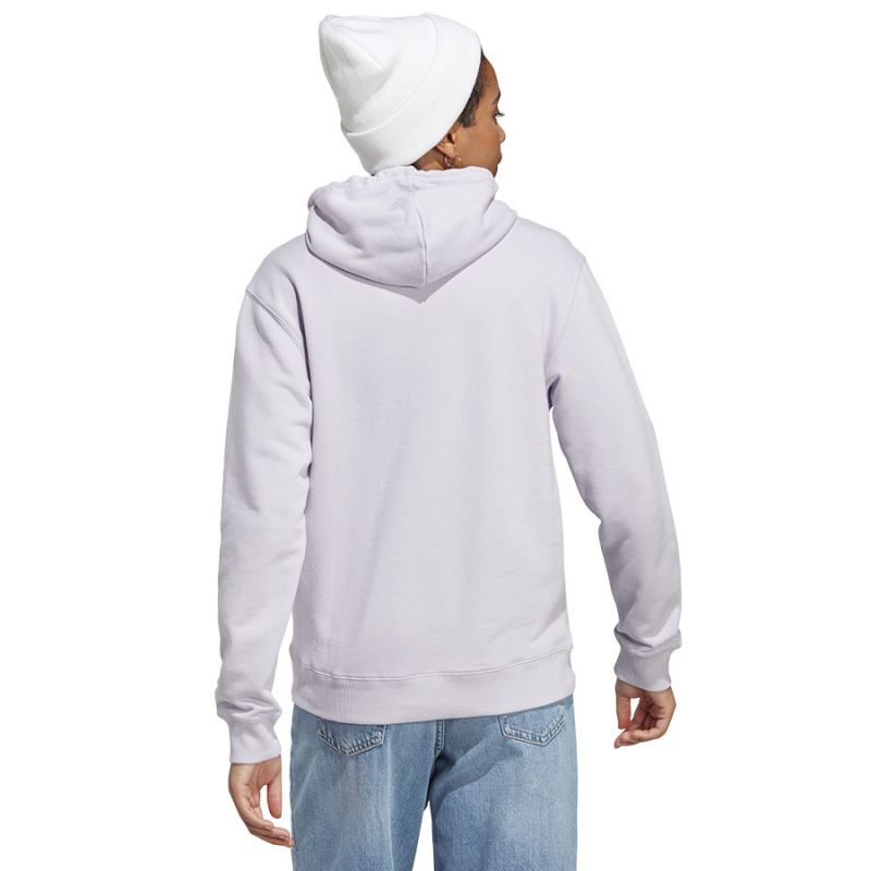 Sweatshirt adidas Big Logo FT R HD W IC6899 Clothing/Lifestyle/adidas Adidas
