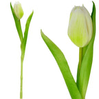 WHITE TULIP 31CM LIFE-LIKE SPRING DECORATION Home and Garden/Equipment Your Sports Performance