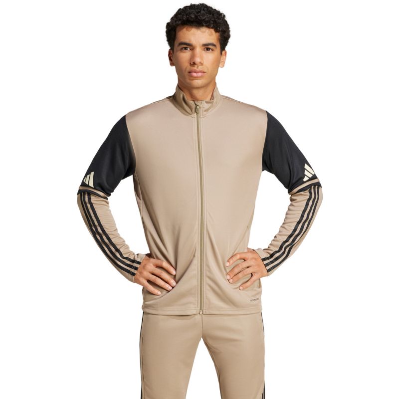 Adidas Squadra 25 Training M JP3391 sweatshirt adidas