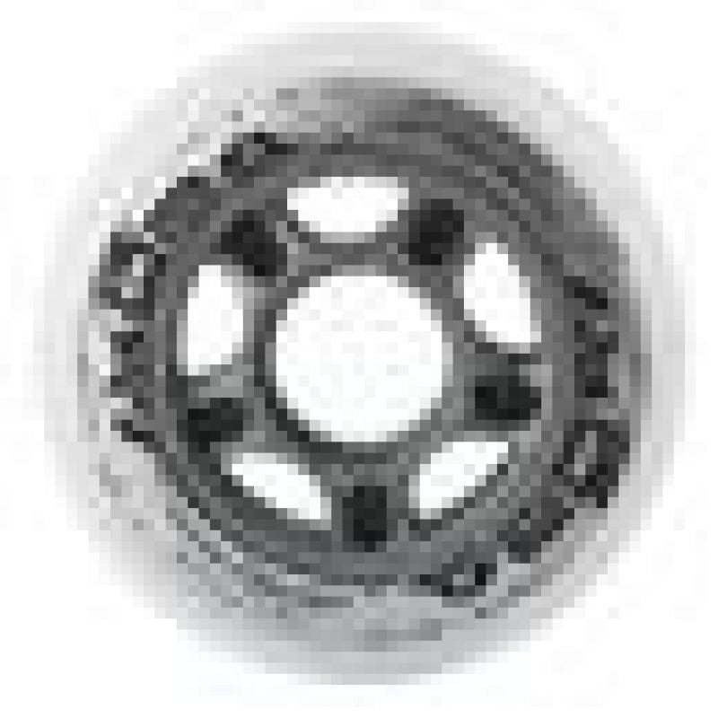 PU 76x24 82A WHITE WHEELS (4 pcs.) NILS EXTREME In preparation Your Sports Performance