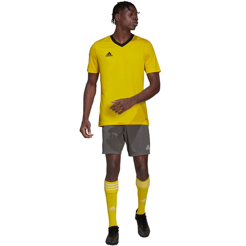 T-shirt adidas Entrada 22 Jersey M HI2122 Clothing/Football Adidas
