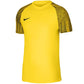 Nike Df Academy Jsy SS Jr T-shirt DH8369 719 Clothing/Training Nike