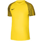 Nike Df Academy Jsy SS Jr T-shirt DH8369 719 Clothing/Training Nike