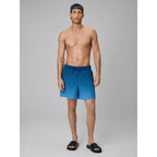 Men's boardshorts 4F 4FWSS26UBDSM168-46S 4f