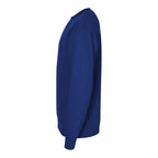 Unisex Crew Sweatshirt (cornflower blue) To be categorized Your Sports Performance