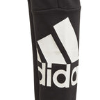 Pants adidas BL FT O PT Jr GN4064 Clothing/Training Adidas