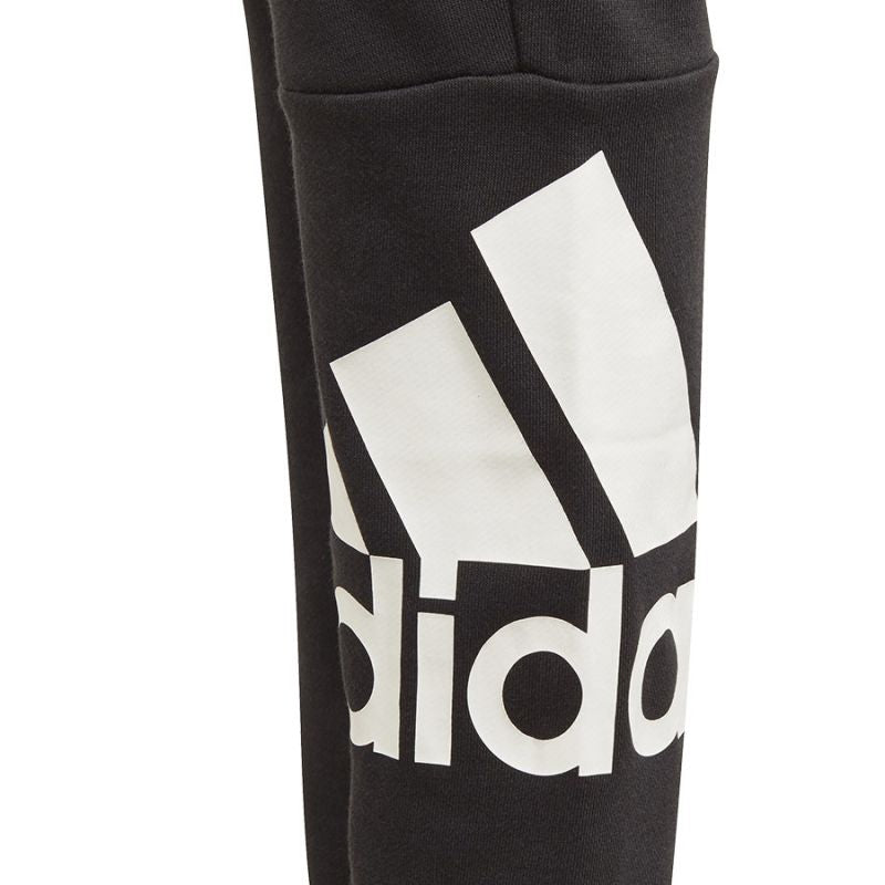 Pants adidas BL FT O PT Jr GN4064 Clothing/Training Adidas